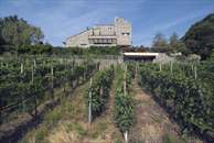 progetti privati - Un maniero sulla "Sassella" progetti privati - Un maniero sulla "Sassella"